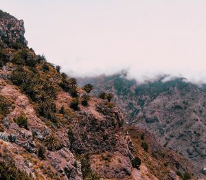 Noleggio auto La Gomera