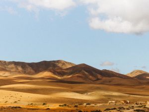 Noleggio auto Aeroporto di Fuerteventura